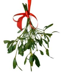 Holly and Mistletoe